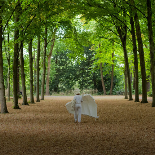 Motiv »Latz'scher Skupturenpark«, Website für Kunstkommission Düsseldorf von Lobo Design.