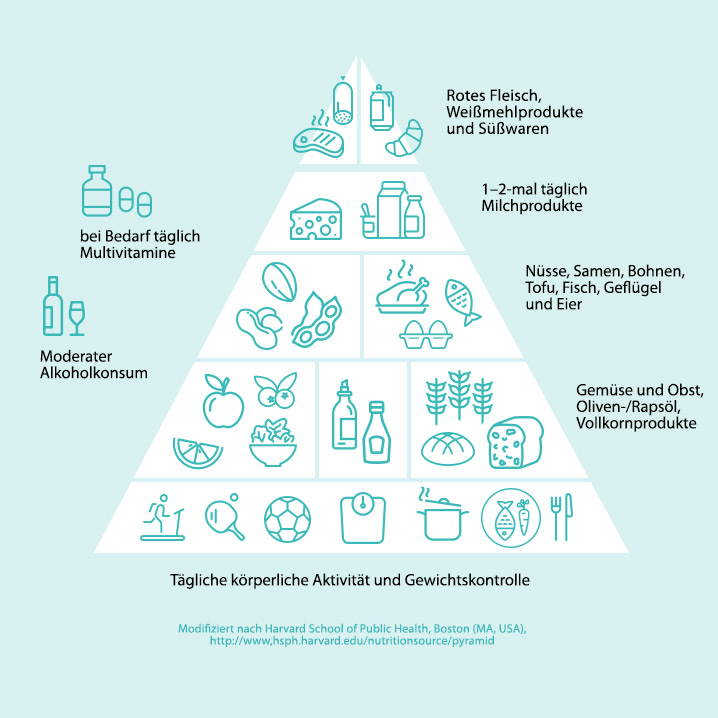 Visualisierung »Ernährungspyramide« für Orthomol Vital von Lobo Design.